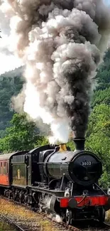 Vintage steam train traveling through lush greenery.