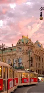 City tram under a pink sunset sky.