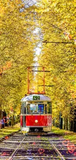 Red vintage tram in autumn tree tunnel with golden leaves.