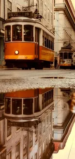 Vintage tram reflected on wet city street.