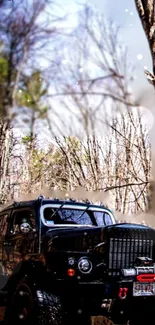 Vintage truck in a peaceful forest with wintry vibes.