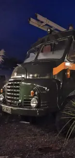 Vintage truck parked at night with surrounding plants.