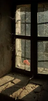 Sunlit rustic window with shadows cast around.