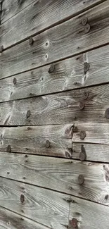 Rustic wooden planks with old nails.