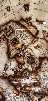 Vintage styled world map wallpaper with intricate design.