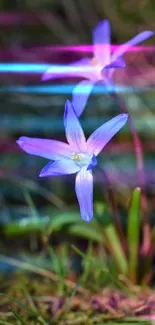 Violet flowers in a natural setting, ideal for wallpaper.