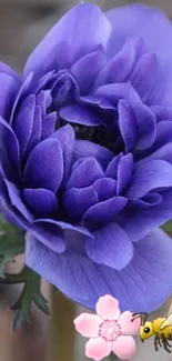 Violet flower with bee and pink petal accents in nature.