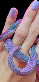 Violet snake wrapped around hand with purple hues on mobile wallpaper.