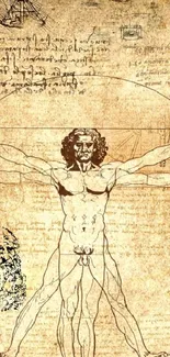 Vintage Vitruvian Man artwork with notes and sketches.