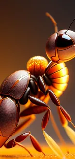 Close-up image of an ant with an orange background highlighting vivid detail.