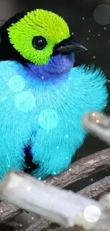 Colorful bird with vibrant turquoise and green feathers.