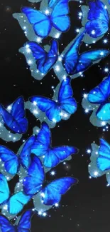 Vivid blue butterflies on a sparkling starry background.