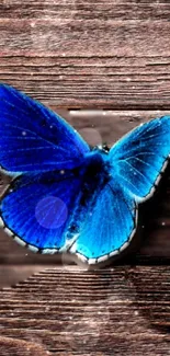 Vivid blue butterfly resting on a wooden background wallpaper.