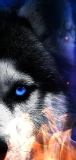 Half face of a husky with vivid blue eyes on a dark background.