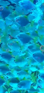 Bright blue fish swim in an underwater scene with colorful bubbles.