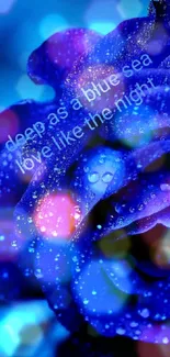 Vivid blue rose with dewdrops and loving quote.