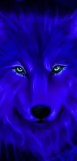 Vivid electric blue wolf wallpaper with glowing green eyes.