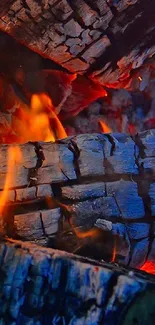 Close-up of vibrant burning wood with vivid orange flames.