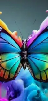 A vibrant butterfly art wallpaper with colorful, swirling background and intricate design.