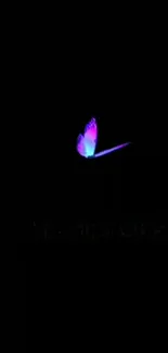 Vivid neon butterfly on black wallpaper background.