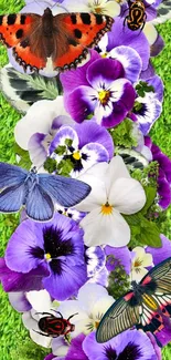 Mobile wallpaper with butterflies on pansies.