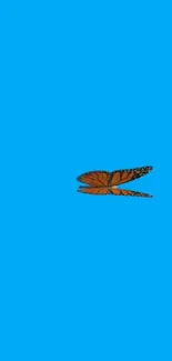 Vibrant butterfly on bright blue background mobile wallpaper.