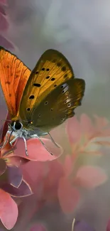 Vibrant orange butterfly resting on colorful leaves.