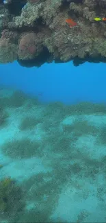 Vibrant coral reef underwater scene with marine life and blue waters.