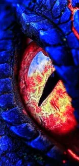 Close-up of a vibrant dragon eye with blue scales.