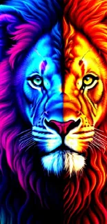 Vivid dual-toned lion art with blue and orange colors, perfect for mobile wallpaper.