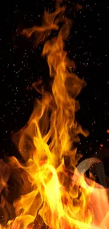 Vibrant orange flames against a dark background.