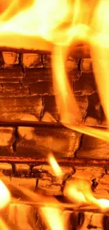 Close-up of vivid firewood flames with orange glow.