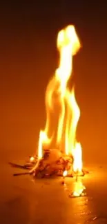 Vibrant orange flames against a dark background.