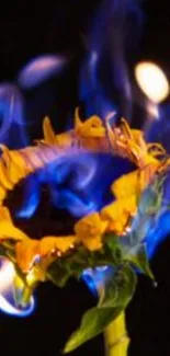 Sunflower with blue flames on a dark background, creating a vivid artistic effect.