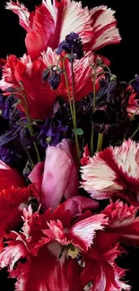 A vivid bouquet with red and purple flowers on a dark background.