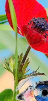 Vibrant red flower with artistic eye design in surreal wallpaper.