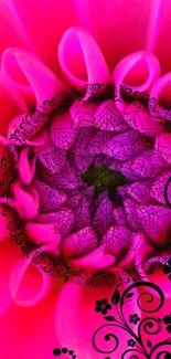 Vibrant pink floral mandala with intricate patterns.