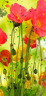 Vibrant red poppies with a green background