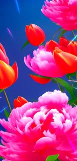 Vivid floral wallpaper with pink peonies and orange tulips on a blue background.