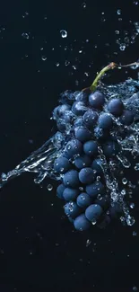 Dark grapes with water splash art wallpaper.