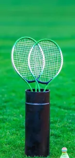 Green badminton court with rackets and shuttlecock.