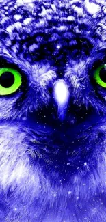 Close-up of a green-eyed owl with vibrant blue hues.