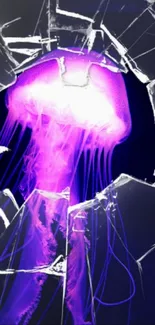 Purple jellyfish glows through cracked glass, creating an abstract art piece.