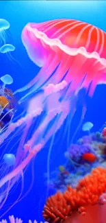 Vibrant jellyfish swimming in a colorful coral reef underwater scene.