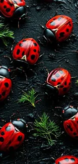 Vivid red ladybugs with green leaves on a black textured background.