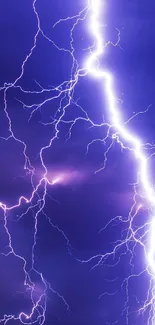 Electrifying lightning bolt in purple night sky wallpaper.