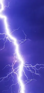 Vivid lightning against a dark purple sky, creating a dramatic mobile wallpaper.