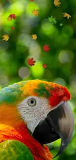 A stunning macaw parrot with colorful feathers against a lush green background.