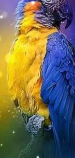 Bright blue and yellow macaw wallpaper with a vibrant tropical background.