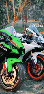 Two vibrant motorcycles amidst autumn leaves and trees.